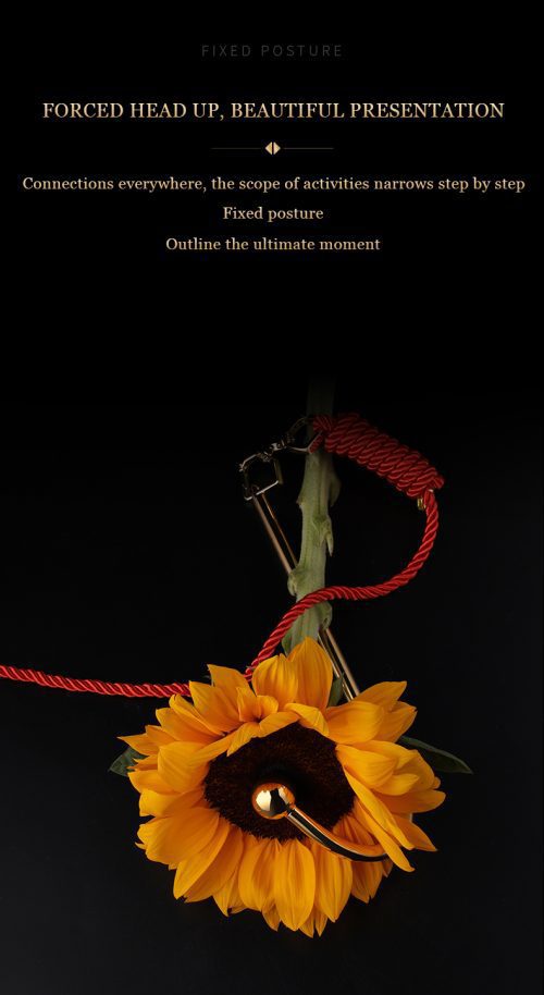 【Bondage】Half moon hook anal hook - Lunarlulu