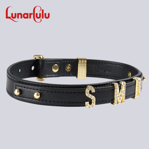 【Bondage】Polaris Neck Collar DIY your own design - Lunarlulu