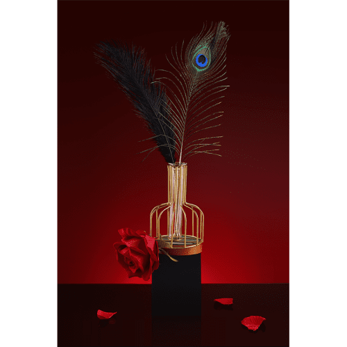 【Bondage】Dream teasing flirting feathers - Lunarlulu