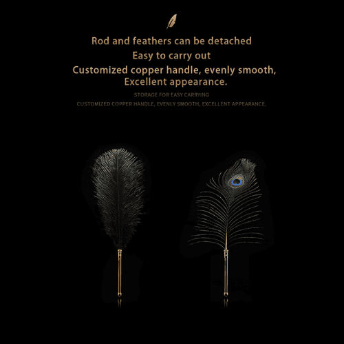 【Bondage】Dream teasing flirting feathers - Lunarlulu