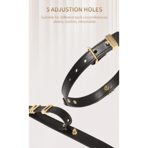 【Bondage】Polaris Neck Collar DIY your own design - Lunarlulu