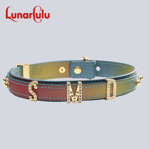 【Bondage】Polaris Neck Collar DIY your own design - Lunarlulu