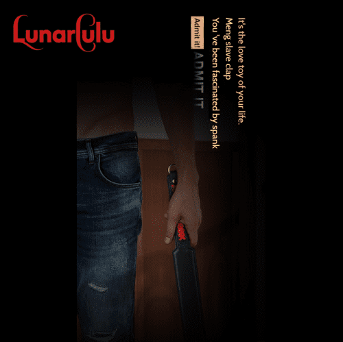 【Bondage】Slave leather lash - Lunarlulu