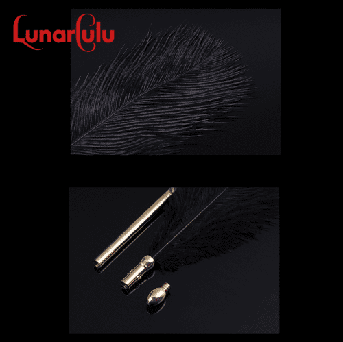 【Bondage】Dream teasing flirting feathers - Lunarlulu