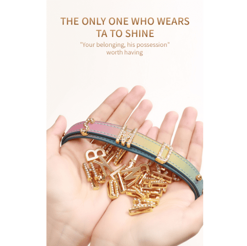 【Bondage】Polaris Neck Collar DIY your own design - Lunarlulu