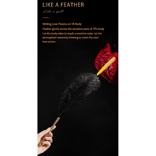 【Bondage】Dream teasing flirting feathers - Lunarlulu