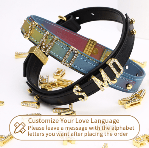 【Bondage】Polaris Neck Collar DIY your own design - Lunarlulu