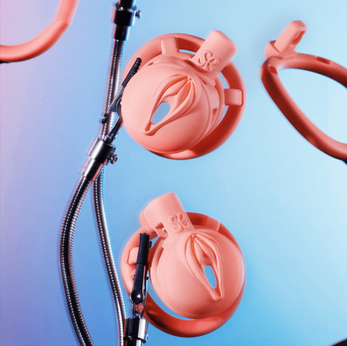 【Bondage】Honey Butterfly Chastity Lock - Lunarlulu