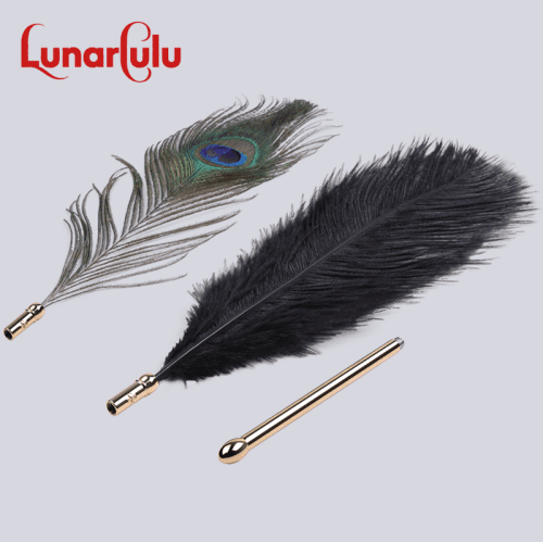 【Bondage】Dream teasing flirting feathers - Lunarlulu