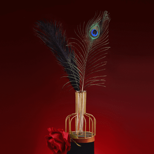 【Bondage】Dream teasing flirting feathers - Lunarlulu