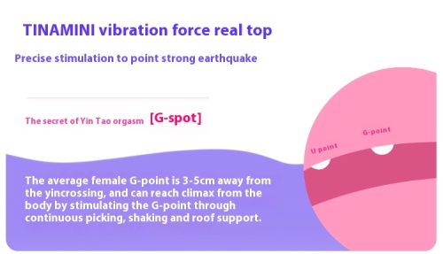 【Vibrator】Vibrating Clitioral Sucker Powerful Handheld Personal Massage Gift for Her - Lunarlulu