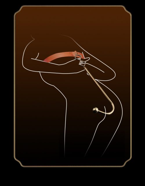 【Bondage】Half moon hook anal hook - Lunarlulu