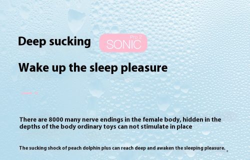 【Vibrators】Wearable G-spot Panty Vibrator for Women - Lunarlulu