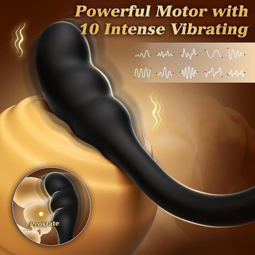 【Prostate Massager】App-Controlled Prostate Massager with Thrusting Lock Ring – Anal Plug & Vibrator Combo - Lunarlulu
